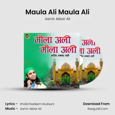 Maula Ali Maula Ali MP3 Song by Aamir Akbar Ali Cover