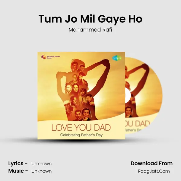Tum Jo Mil Gaye Ho Cover