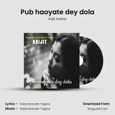 Pub haoyate dey dola - Arijit Sarkar