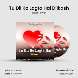 Tu Dil Ko Lagta Hai Dilkash Cover