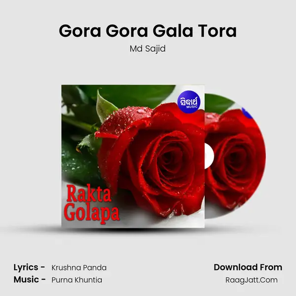 Gora Gora Gala Tora MP3 Song by Md Sajid Cover