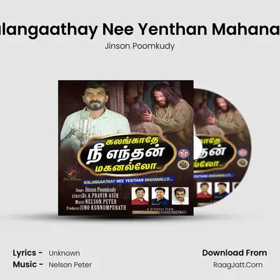 Kalangaathay Nee Yenthan Mahanallo - Single - Jinson Poomkudy