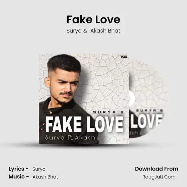 Fake Love Cover
