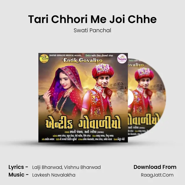 Tari Chhori Me Joi Chhe mp3 song