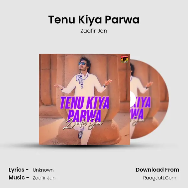 Tenu Kiya Parwa - Single - Zaafir Jan