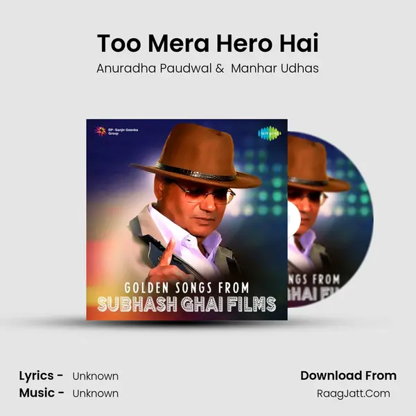 Too Mera Hero Hai Cover