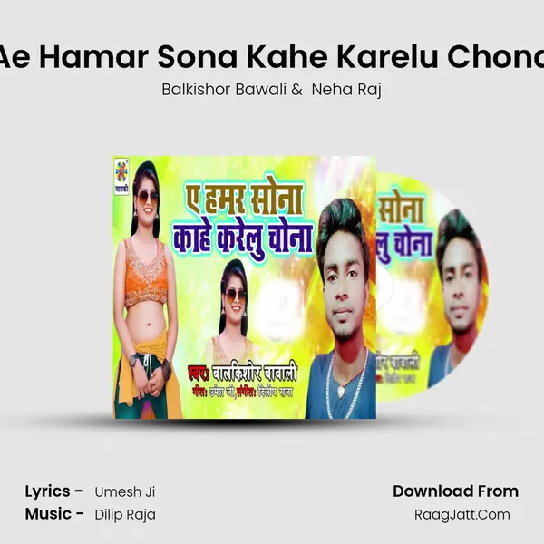 Ae Hamar Sona Kahe Karelu Chona mp3 song