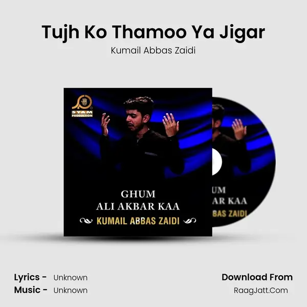 Tujh Ko Thamoo Ya Jigar MP3 Song by Kumail Abbas Zaidi Cover