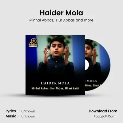 Haider Mola MP3 Song by Minhal Abbas Cover