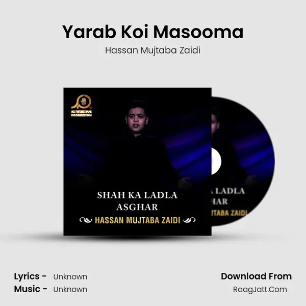 Hassan Mujtaba Zaidi