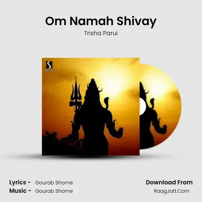 Om Namah Shivay - 