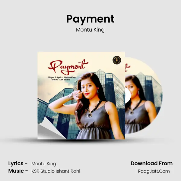 Payment - Montu King