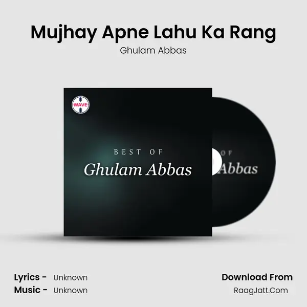 Mujhay Apne Lahu Ka Rang MP3 Song by Ghulam Abbas Cover