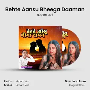 Behte Aansu Bheega Daaman Cover