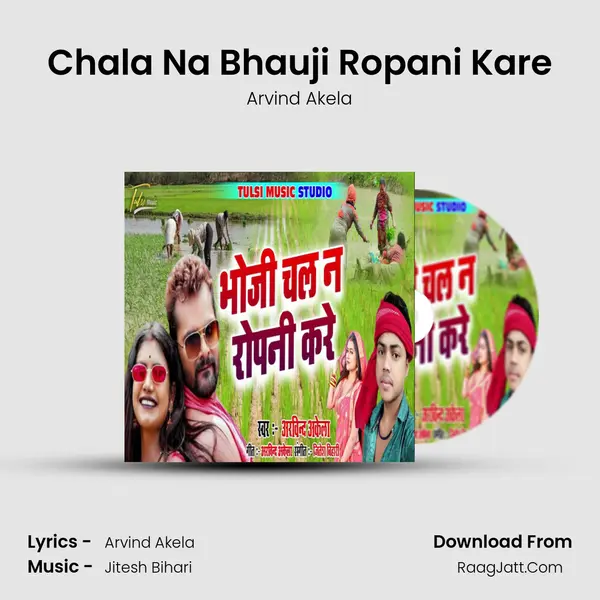 Chala Na Bhauji Ropani Kare mp3 song