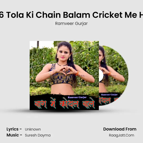 Meri 6 Tola Ki Chain Balam Cricket Me Haryo mp3 song