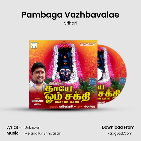 Pambaga Vazhbavalae MP3 Song by Srihari Cover