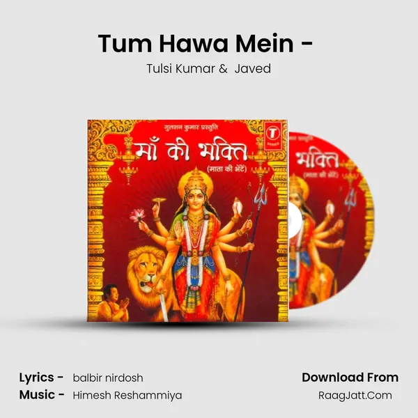 Tum Hawa Mein - (Tum Saanson Mein) MP3 Song by Tulsi Kumar Cover