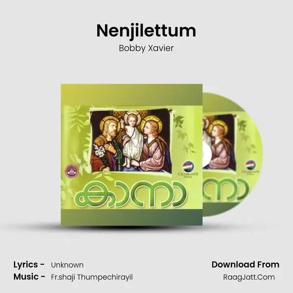 Nenjilettum MP3 Song by Bobby Xavier Cover