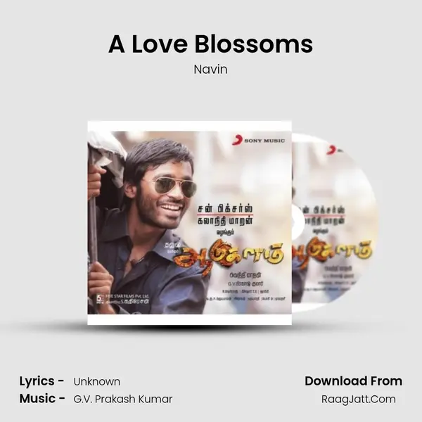 A Love Blossoms MP3 Song by Navin Cover