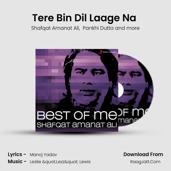 Tere Bin Dil Laage Na (From 