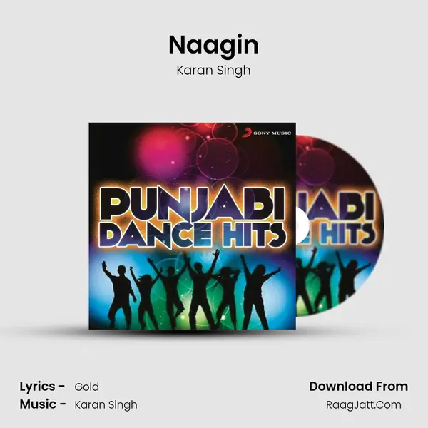 Naagin Cover