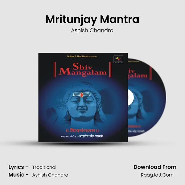 Mritunjay Mantra MP3 Song by Ashish Chandra Cover
