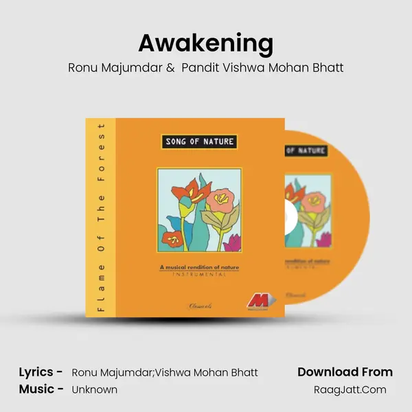 Awakening MP3 Song by Ronu Majumdar Cover