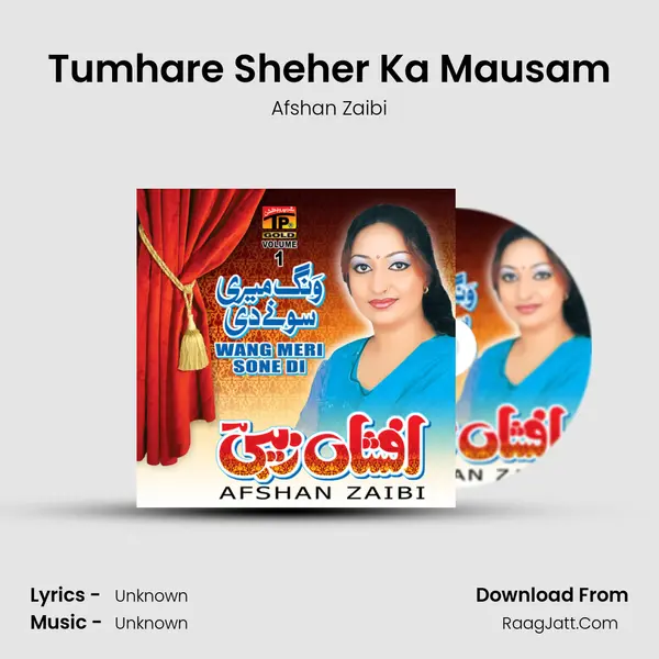 Tumhare Sheher Ka Mausam MP3 Song by Afshan Zaibi Cover