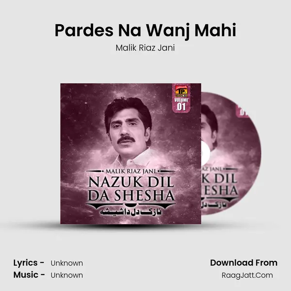 Pardes Na Wanj Mahi MP3 Song by Malik Riaz Jani Cover