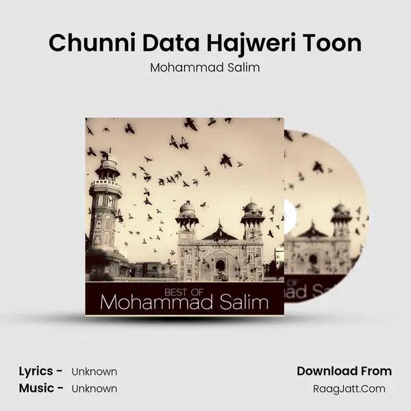 Chunni Data Hajweri Toon MP3 Song by Mohammad Salim Cover