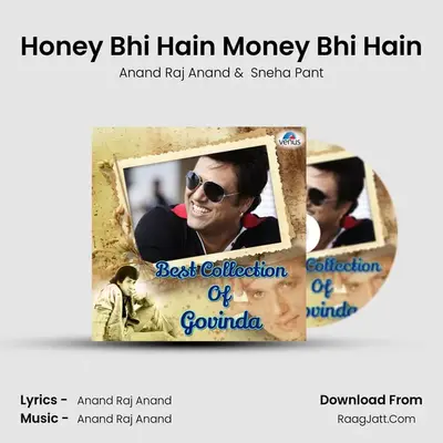 Honey Bhi Hain Money Bhi Hain MP3 Song by Anand Raj Anand Cover