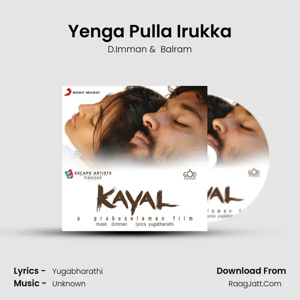 Yenga Pulla Irukka MP3 Song by D.Imman Cover