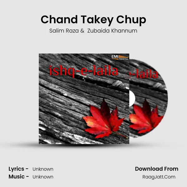 Chand Takey Chup MP3 Song by Salim Raza Cover