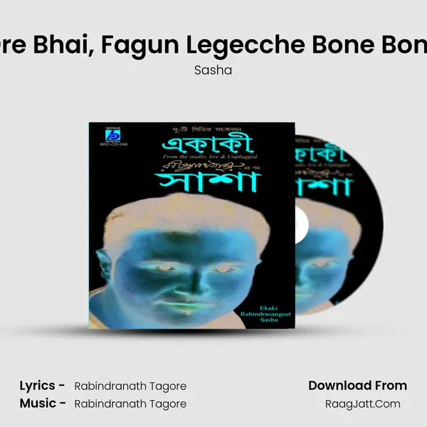 Ore Bhai, Fagun Legecche Bone Bone MP3 Song by Sasha Cover