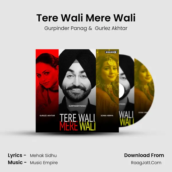 Tere Wali Mere Wali mp3 song