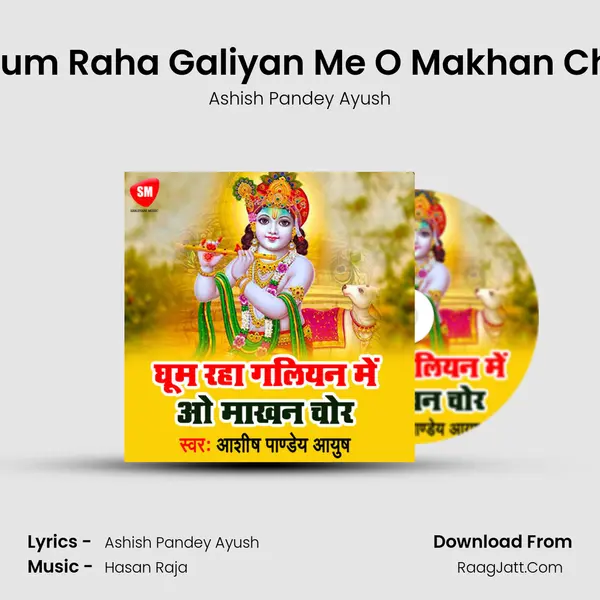 Ghum Raha Galiyan Me O Makhan Chor Cover