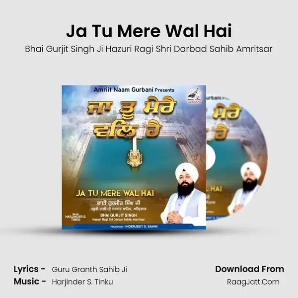 Ja Tu Mere Wal Hai Cover