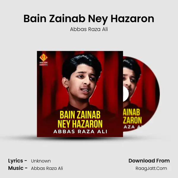 Bain Zainab Ney Hazaron - Single - Abbas Raza Ali