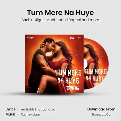 Tum Mere Na Huye Cover