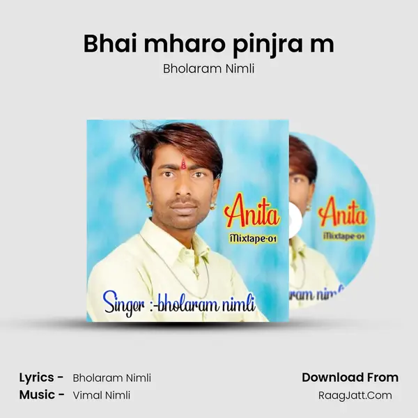 Bhai mharo pinjra m mp3 song