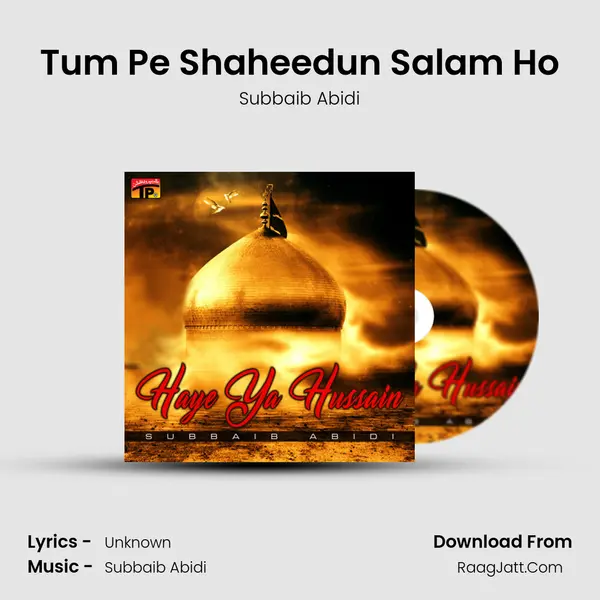 Tum Pe Shaheedun Salam Ho mp3 song