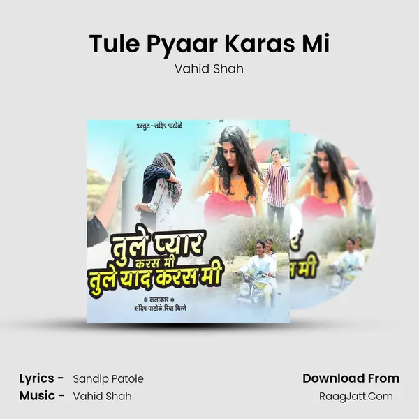 Tule Pyaar Karas Mi MP3 Song by Vahid Shah Cover