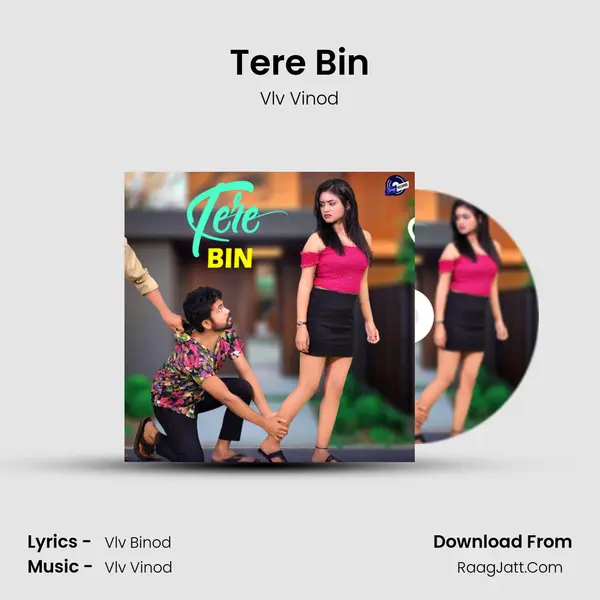Tere Bin MP3 Song by Vlv Vinod Cover