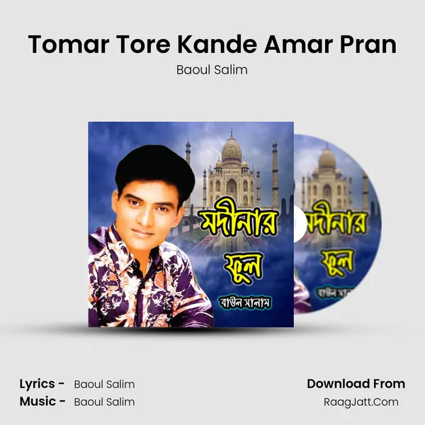 Tomar Tore Kande Amar Pran MP3 Song by Baoul Salim Cover
