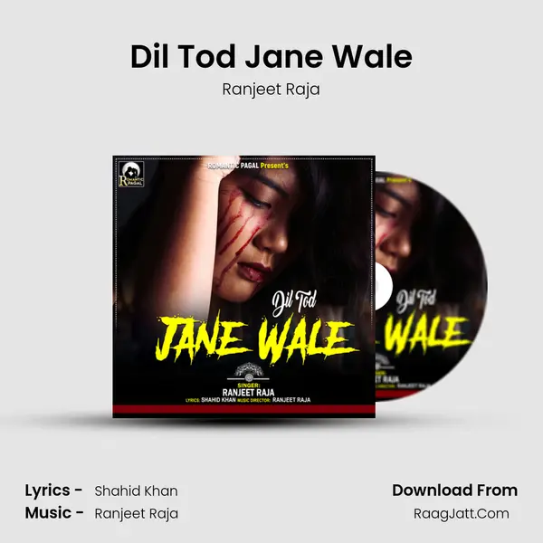 Dil Tod Jane Wale mp3 song