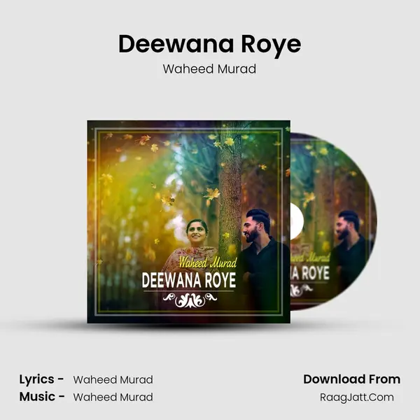Deewana Roye mp3 song