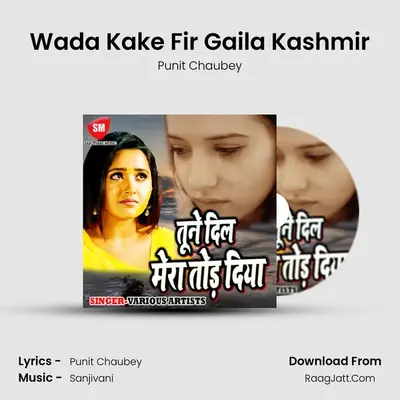 Wada Kake Fir Gaila Kashmir MP3 Song by Punit Chaubey Cover