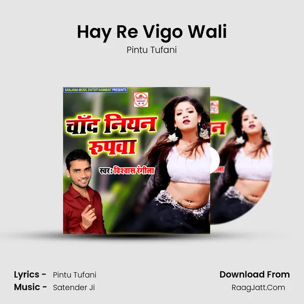 Hay Re Vigo Wali MP3 Song by Pintu Tufani Cover