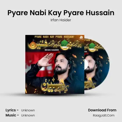 Pyare Nabi Kay Pyare Hussain - Single - 